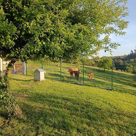 Casa Isaura De Pena Camino Primitivo Bed & Breakfast Pacio Eksteriør bilde